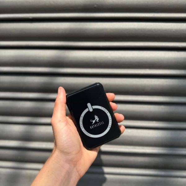 BATTERY PACK ROYALCELL MP12