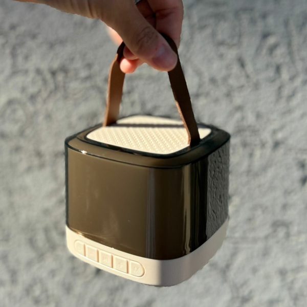 PARLANTE XAEA MODX-004T