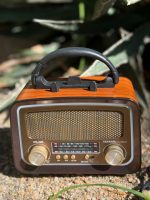 PARLANTE VINTAGE YUEGAN YG-1086MINI