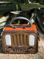 PARLANTE VINTAGE YUEGAN YG-7080